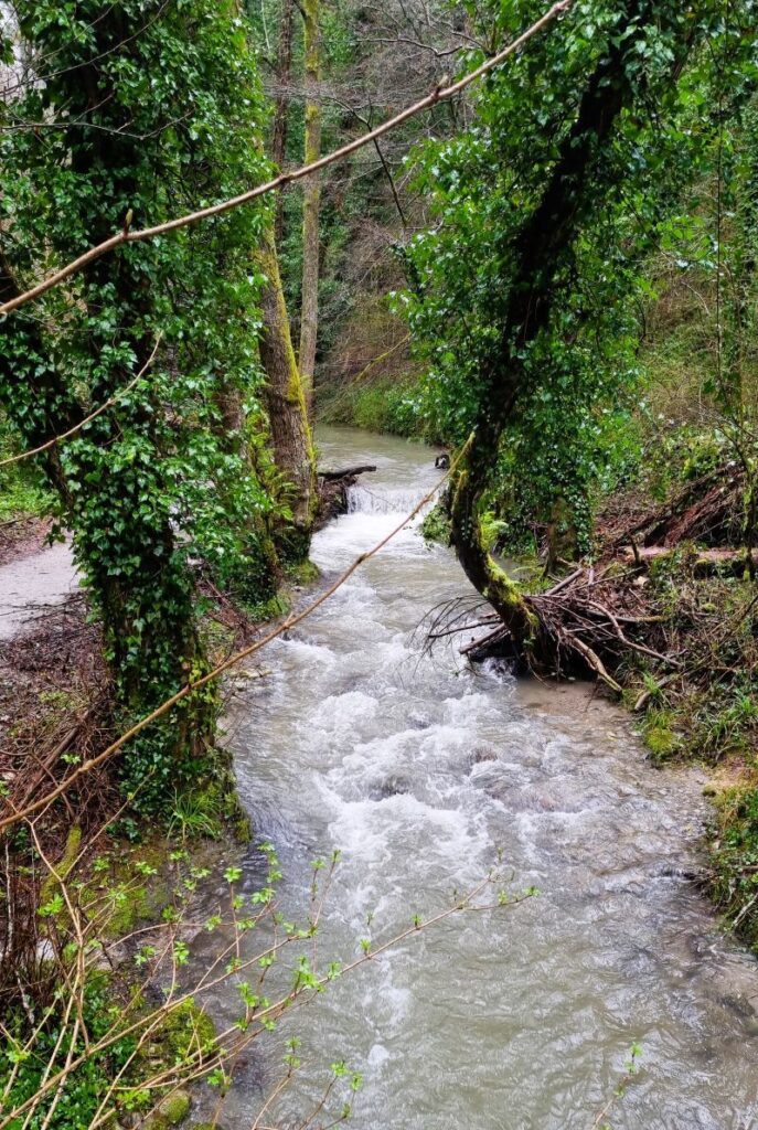 Arroyo del recorrido Le Vie dell’Acqua en Rotonda, Basilicata