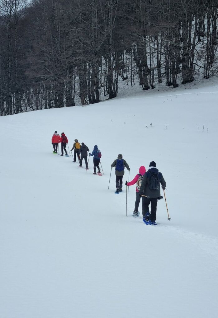 Grupo realizando ruta con raquetas de nieve en el Parque Nacional del Pollino, Basilicata