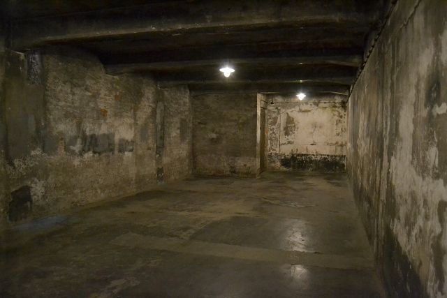 Auschwitz: Nunca más