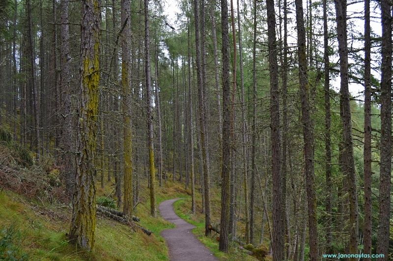 Escocia etapa 6: de Inverness a Thurso