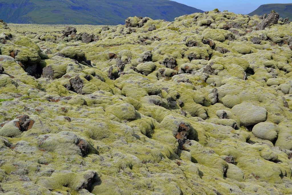 Piedras de lava cubiertas de musgo Islandia (día 4): los glaciares del sudeste