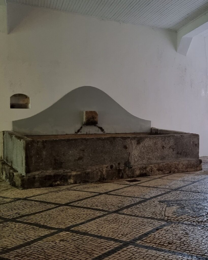 Lagar de piedra tradicional para el pisado de la uva en las Bodegas Cockburn's de Oporto
