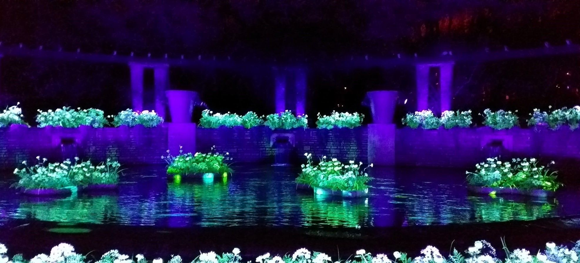 Instalación de plantas iluminadas en la Fête des Lumières de Lyon