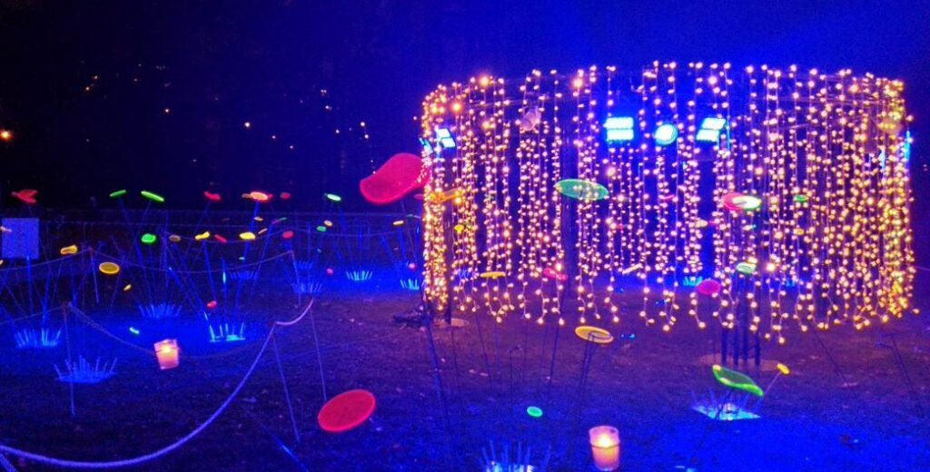 Instalación de luces y formas proyectadas durante la Fête des Lumières en el Parc de la Tête d'Or de Lyon