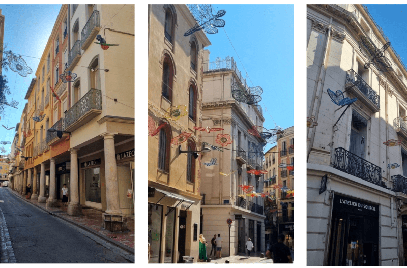 Calles del centro histórico de Perpignan decoradas con flores de colores