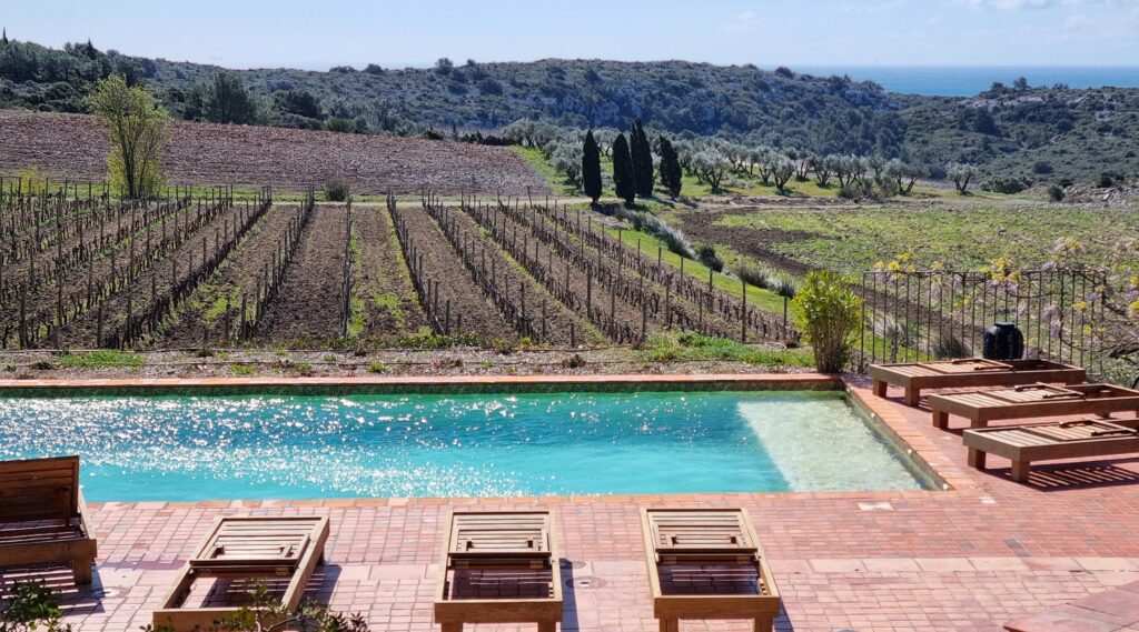 Piscina con vistas a los viñedos del Château l'Hospitalet cerca de Narbonne