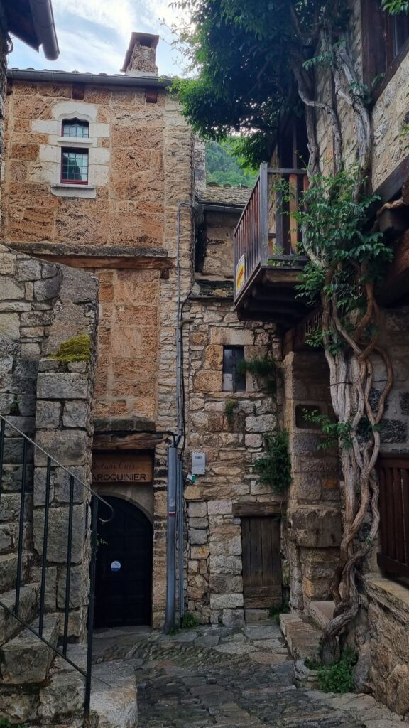 Rincón medieval de piedra con una vieja parra trepando por la fachada en Sainte-Énimie, Lozère